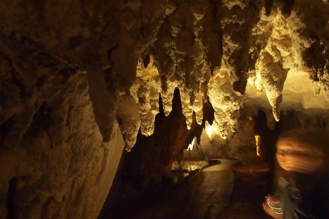 Waitomo Glowworm Caves In a Private Small Group Tour-Auckland. - Why Waitomo is worth a full day from Auckland