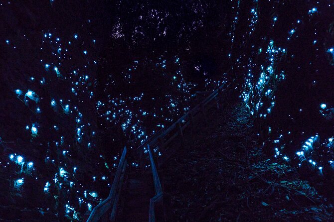 Waitomo Glowworm Caves In a Private Small Group Tour-Auckland. - From Auckland at 9:00 am in a private car