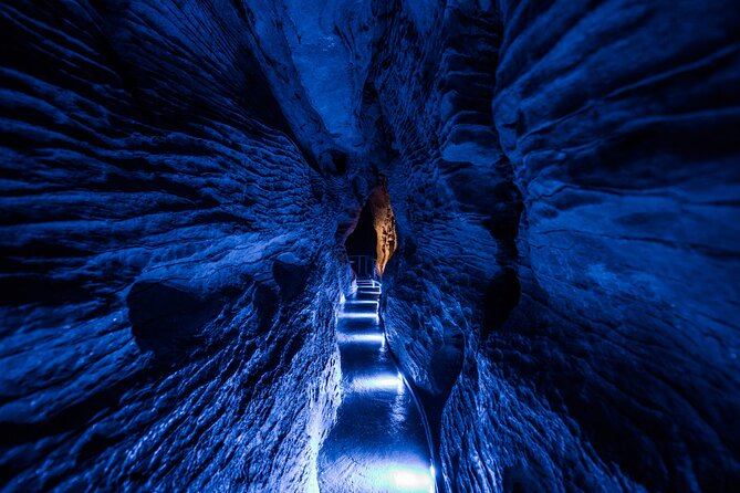 Waitomo Glowworm & Ruakuri Twin Cave - Private Tour From Auckland - Is $650.98 per person good value?