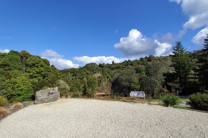 Waitomo Glowworm & Ruakuri Twin Cave - Private Tour From Auckland - Who should book this experience?