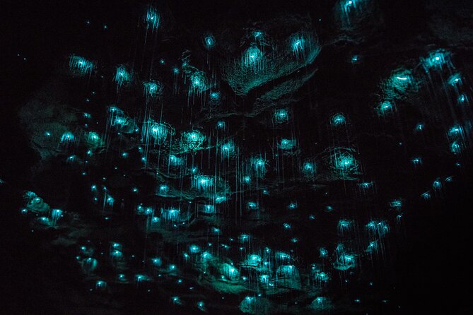 Waitomo Glowworm & Ruakuri Twin Cave Small Group Tour Ex-Auckland - Key points at a glance
