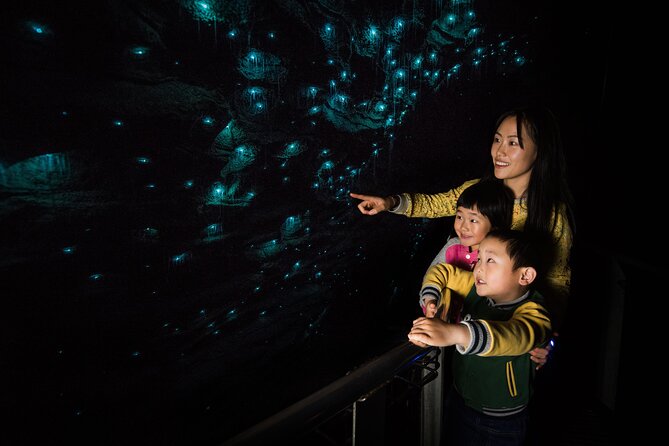 Waitomo Glowworm & Ruakuri Twin Cave Small Group Tour Ex-Auckland - The 45-minute Waitomo Glowworm Caves visit