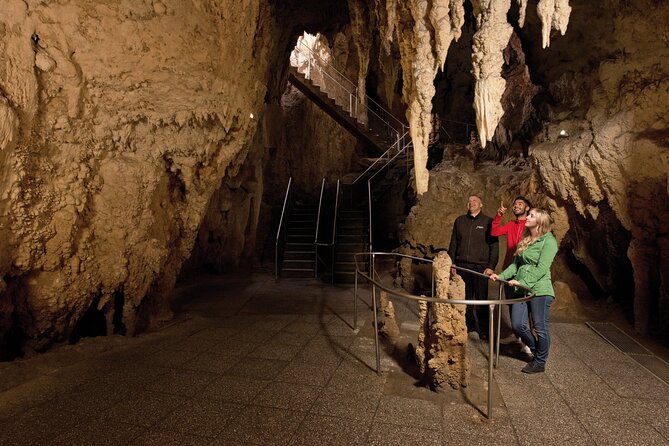 Waitomo Glowworm & Ruakuri Twin Cave Small Group Tour Ex-Auckland - The guide can make the drive part of the tour