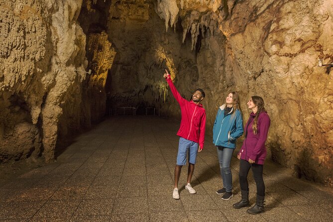 Waitomo Glowworm & Ruakuri Twin Cave Small Group Tour Ex-Auckland - What to pack and what to leave behind