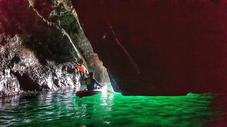 Wexford: Hook Peninsula Sea Cave Kayaking Experience - Wildlife and local stories along the route