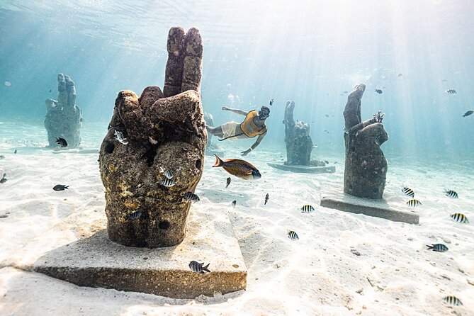 With Turtles, Shipwreck, Cenote, and Reef and Transport Included - Reef snorkeling in 8 to 12 feet of water