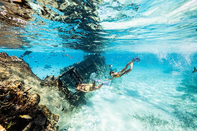 With Turtles, Shipwreck, Cenote, and Reef and Transport Included - Shipwrecks, statues, and the underwater museum