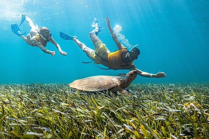 With Turtles, Shipwreck, Cenote, and Reef and Transport Included - How much time you really spend on the boat