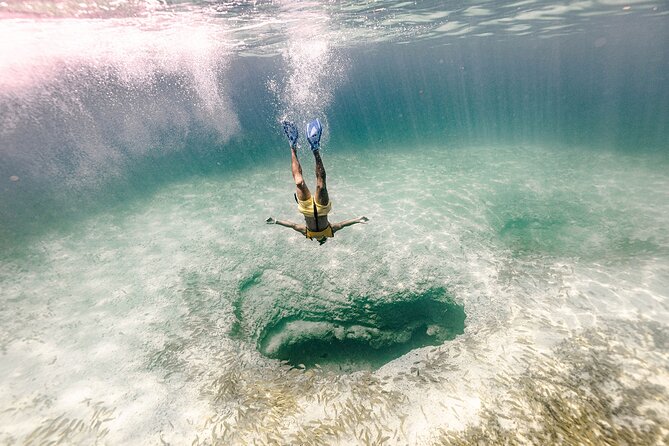 With Turtles, Shipwreck, Cenote, and Reef and Transport Included - The real price, including extras