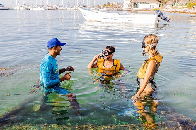 With Turtles, Shipwreck, Cenote, and Reef and Transport Included - Getting comfortable with the snorkeling gear