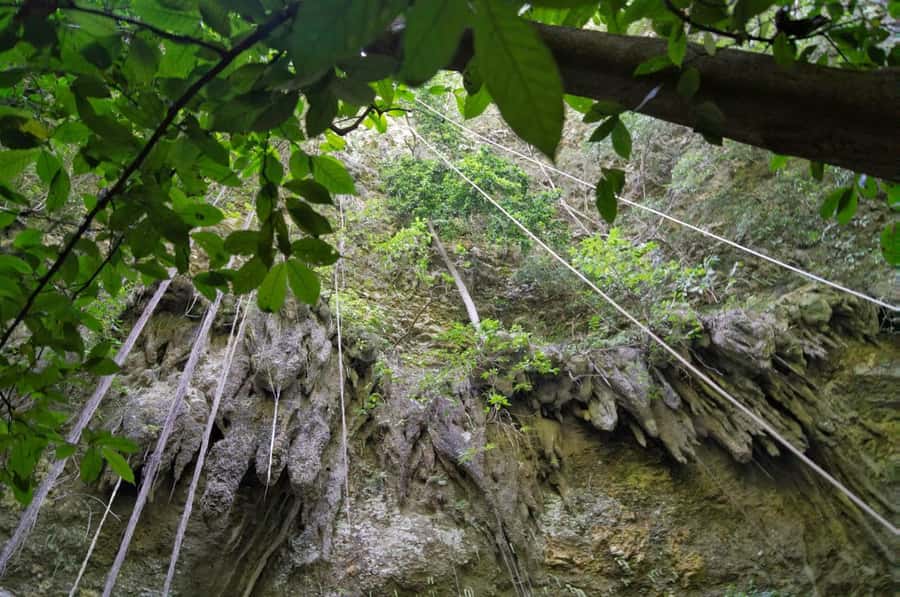 Yogyakarta: Jomblang Cave and Pindul Cave all inclusive Trip - Lunch gives you a needed pause