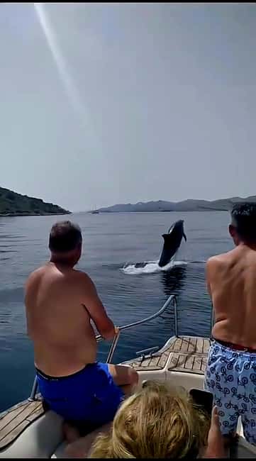 Zadar: Adventure on 6 islands, 3 lagoons, 1 cave, Bio Fruits - What this Zadar boat trip is really about