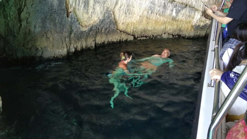 Zakynthos: Shipwreck Beach, Viewpoint, Blue Caves Day Tour - Therianos Family Farm ends the day on a local note