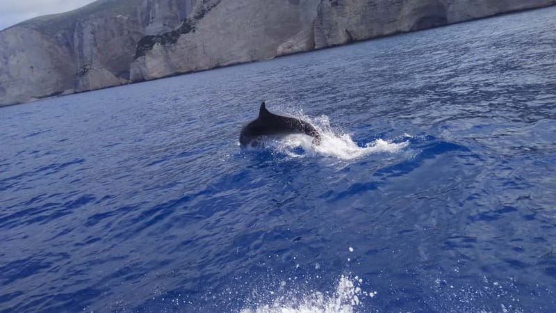 Zakynthos: Shipwreck Beach, Viewpoint, Blue Caves Day Tour - Xigia Beach offers a quick natural spa stop