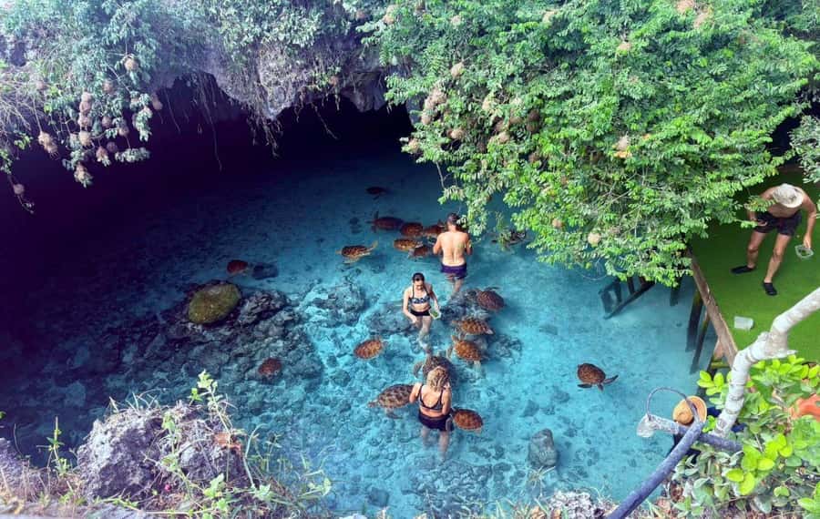 Zanzibar: Mnemba Island, Prison Island and Salaam Cave Tour - Why this Zanzibar day trip packs in so much