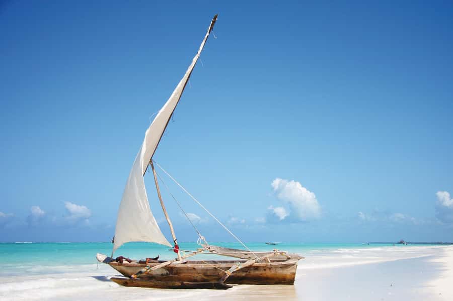 Zanzibar: Prison Island, Monkeys, and Kuza Cave Private Tour - Who should book this private day?