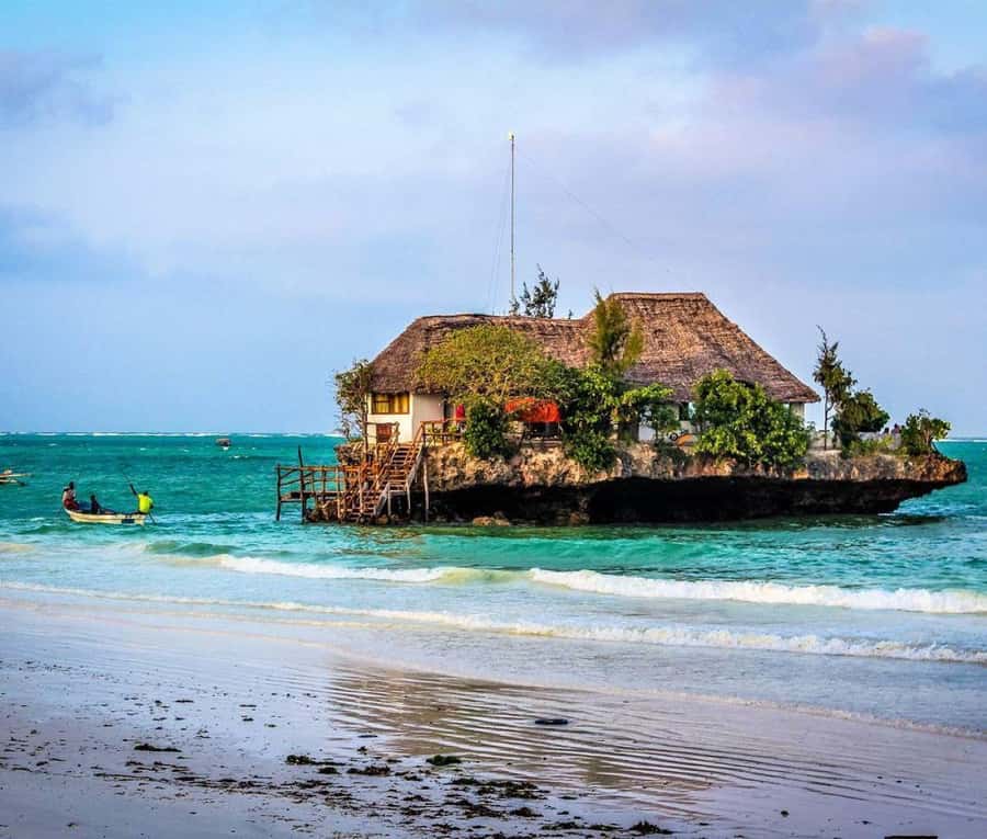 Zanzibar: Prison Island, Monkeys, and Kuza Cave Private Tour - Jozani Forest and the Red Colobus Monkeys