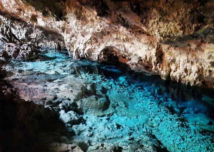 Zanzibar: Prison Island, Monkeys, and Kuza Cave Private Tour - Kuza Cave is the day’s hands-on stop