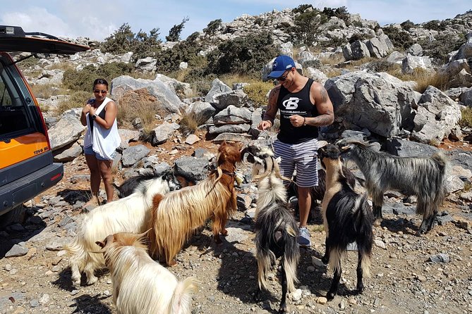 Zeus Cave, Lassithi Plateau, Olive Oil Factory, Kritza, Pottery - Lunch at a local taverna